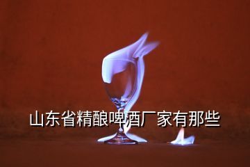 山東省精釀啤酒廠家有那些