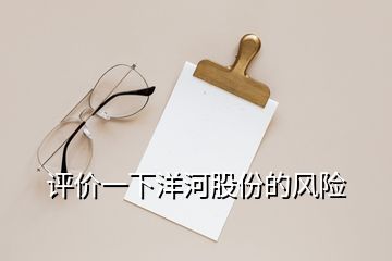 評價一下洋河股份的風(fēng)險