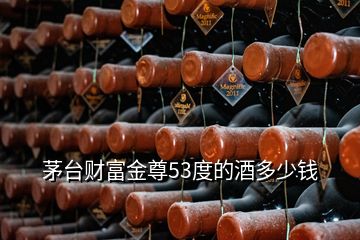 茅臺財富金尊53度的酒多少錢