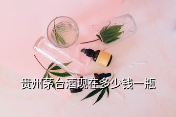 貴州茅臺酒現(xiàn)在多少錢一瓶