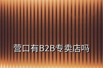 營口有B2B專賣店嗎