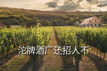 沱牌酒廠還招人不