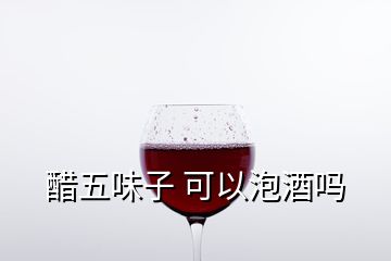 醋五味子 可以泡酒嗎