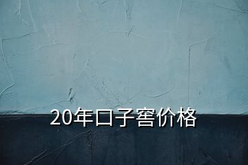 20年口子窖價(jià)格