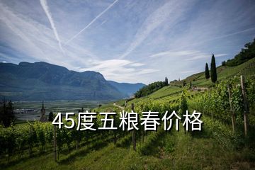 45度五糧春價格