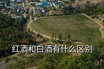 紅酒和白酒有什么區(qū)別