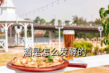 酒是怎么發(fā)酵的