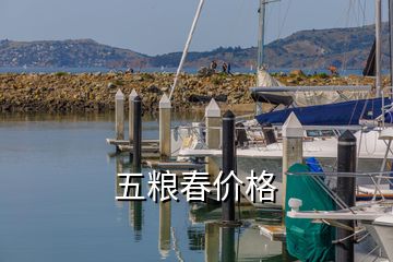 五糧春價格