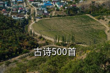 古詩500首