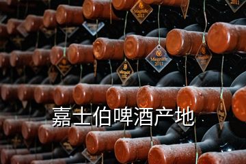 嘉士伯啤酒產(chǎn)地