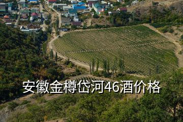 安徽金樽岱河46酒價(jià)格