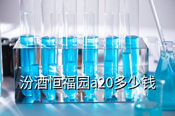 汾酒恒福園a20多少錢