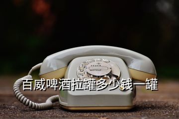 百威啤酒拉罐多少錢(qián)一罐