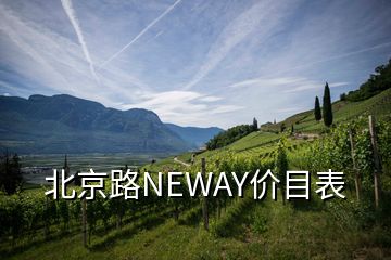 北京路NEWAY價(jià)目表