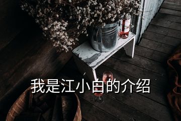 我是江小白的介紹