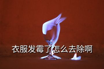 衣服發(fā)霉了怎么去除啊