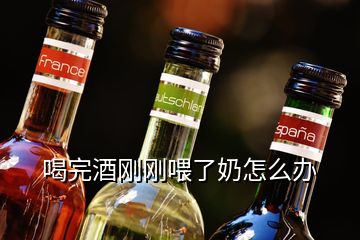 喝完酒剛剛喂了奶怎么辦