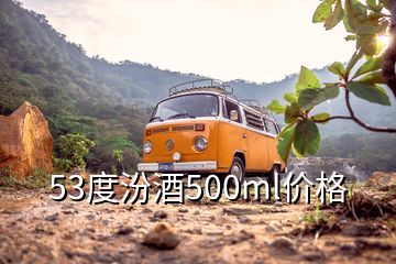 53度汾酒500ml價(jià)格