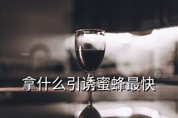 拿什么引誘蜜蜂最快