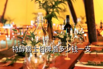 特醇嘉士伯啤酒多少錢一支