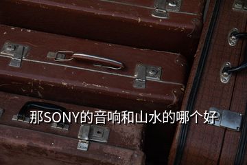 那SONY的音響和山水的哪個(gè)好