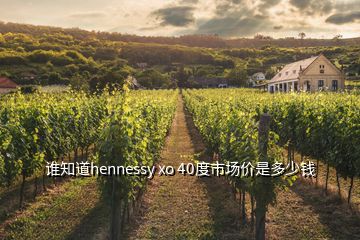 誰(shuí)知道hennessy xo 40度市場(chǎng)價(jià)是多少錢