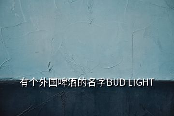 有個(gè)外國啤酒的名字BUD LIGHT