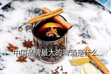 中國(guó)品牌最大的啤酒是什么