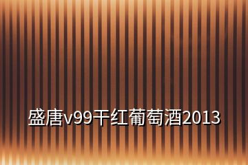 盛唐v99干紅葡萄酒2013