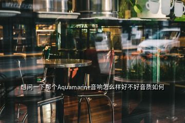 想問一下那個(gè)Aquamarine音響怎么樣好不好音質(zhì)如何