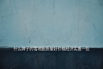 什么牌子的雪地胎質量好價格經濟實惠一些