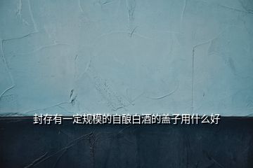 封存有一定規(guī)模的自釀白酒的蓋子用什么好