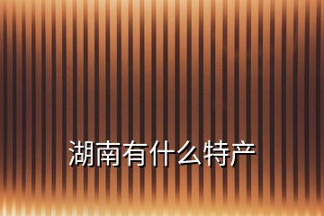 湖南有什么特產(chǎn)