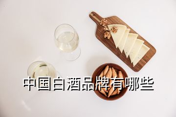 中國白酒品牌有哪些