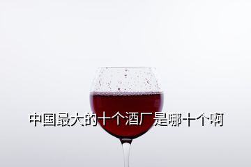 中國(guó)最大的十個(gè)酒廠是哪十個(gè)啊