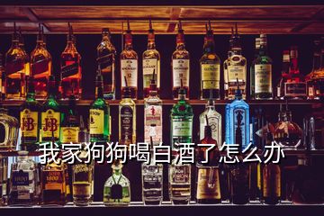 我家狗狗喝白酒了怎么辦