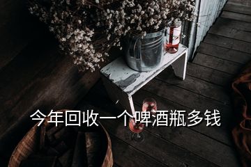 今年回收一個(gè)啤酒瓶多錢