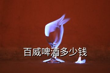 百威啤酒多少錢(qián)