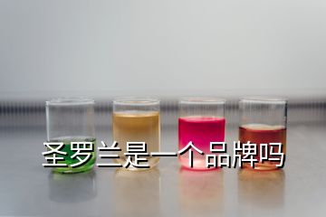 圣羅蘭是一個品牌嗎