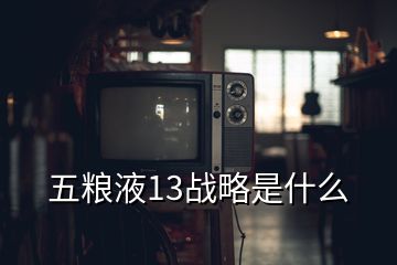 五糧液13戰(zhàn)略是什么