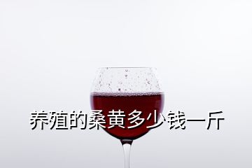 養(yǎng)殖的桑黃多少錢一斤