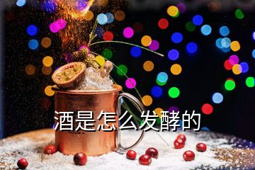 酒是怎么發(fā)酵的