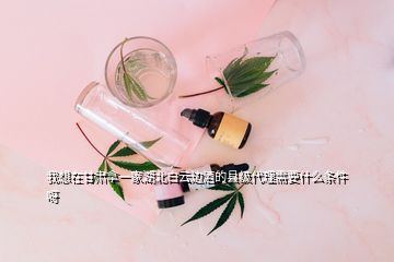 我想在甘肅拿一家湖北白云邊酒的縣級(jí)代理需要什么條件呀