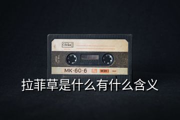 拉菲草是什么有什么含義