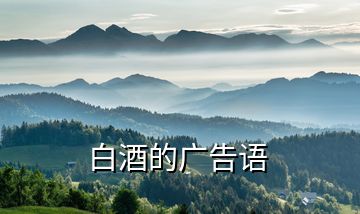 白酒的廣告語(yǔ)