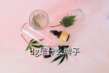 dg是什么牌子