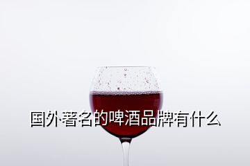 國外著名的啤酒品牌有什么