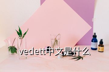 vedett中文是什么