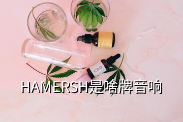 HAMERSH是啥牌音響