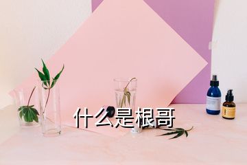 什么是根哥